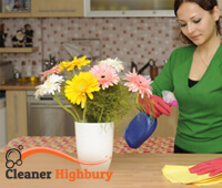 domestic_cleaning1