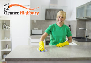 Professional Cleaning Services HIghbury