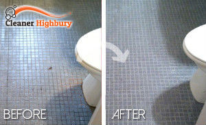 bathroom-cleaning-Highbury