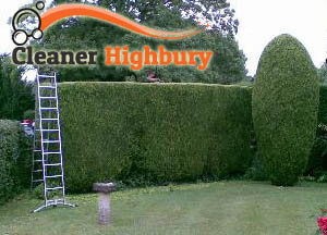 Hedge Maintenance Highbury