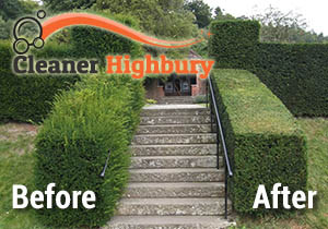 Hedge Trimming Before and After