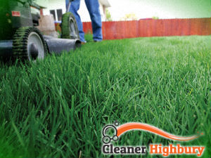 grass-cutting-services-highbury